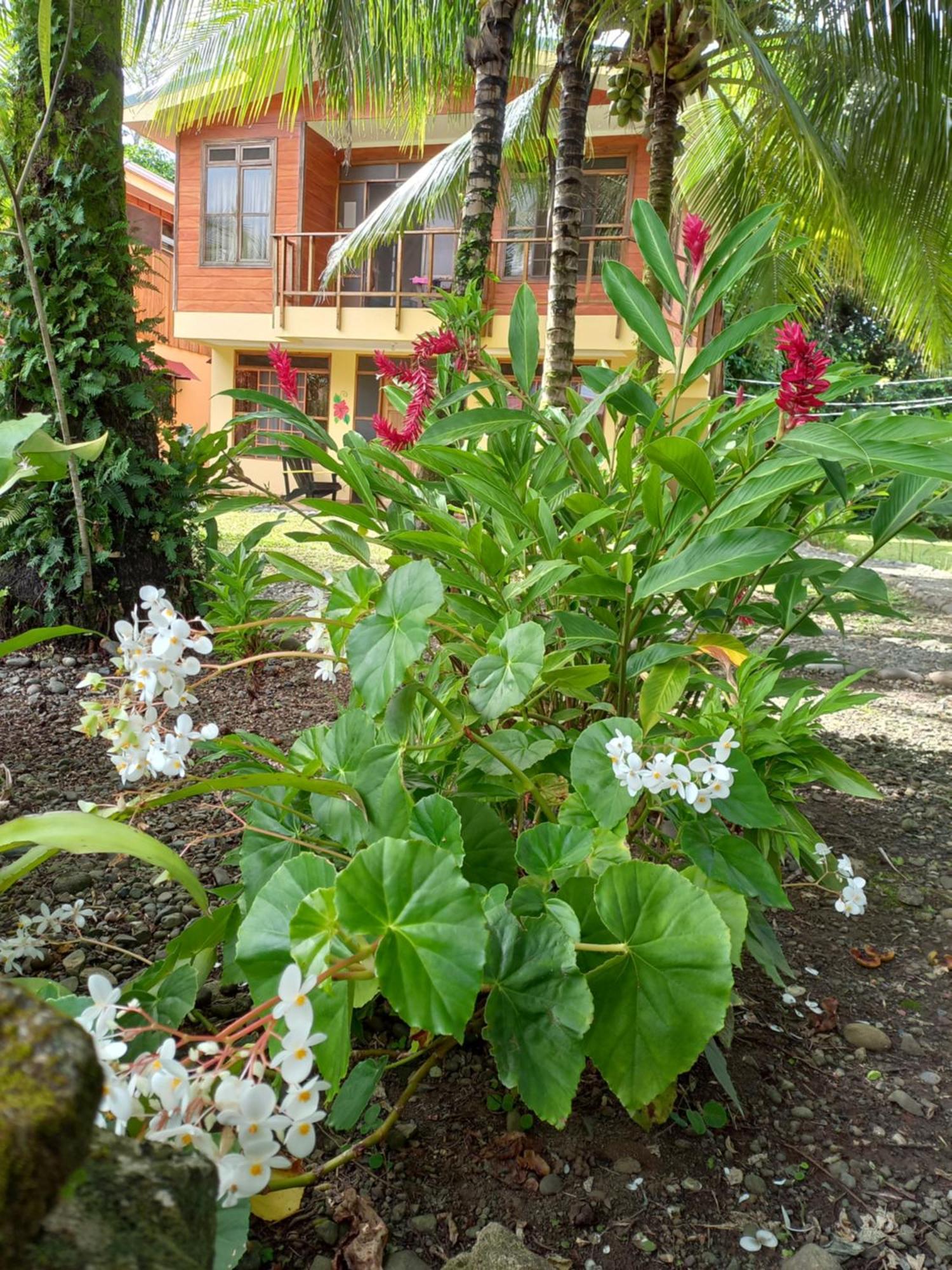 Babilonia Aparthotel Cahuita Ngoại thất bức ảnh