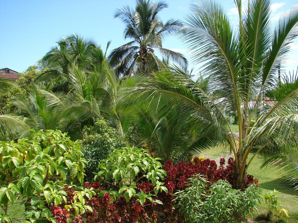 Babilonia Aparthotel Cahuita Phòng bức ảnh