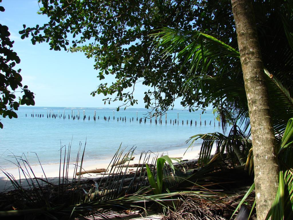Babilonia Aparthotel Cahuita Ngoại thất bức ảnh