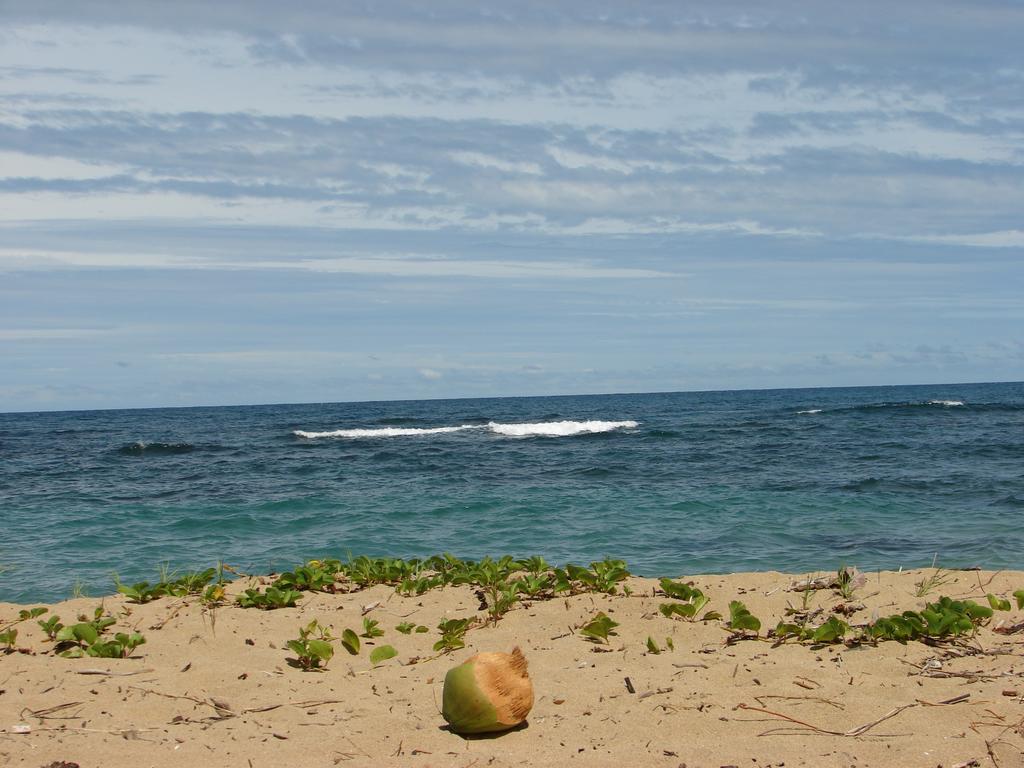 Babilonia Aparthotel Cahuita Ngoại thất bức ảnh