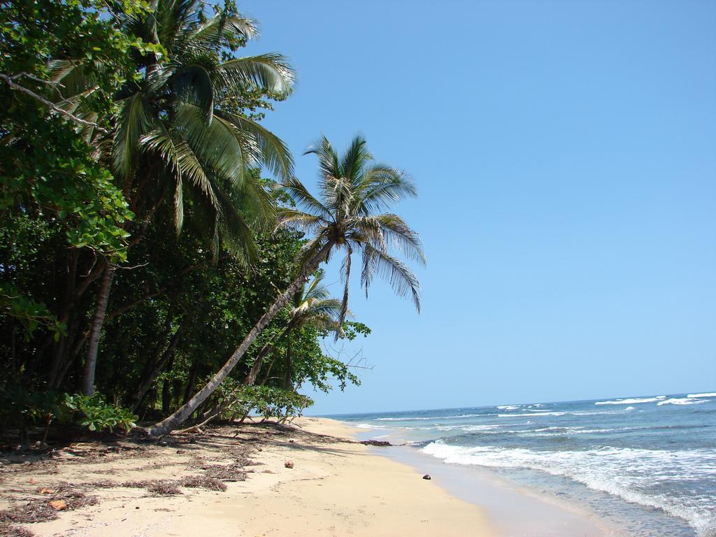 Babilonia Aparthotel Cahuita Ngoại thất bức ảnh