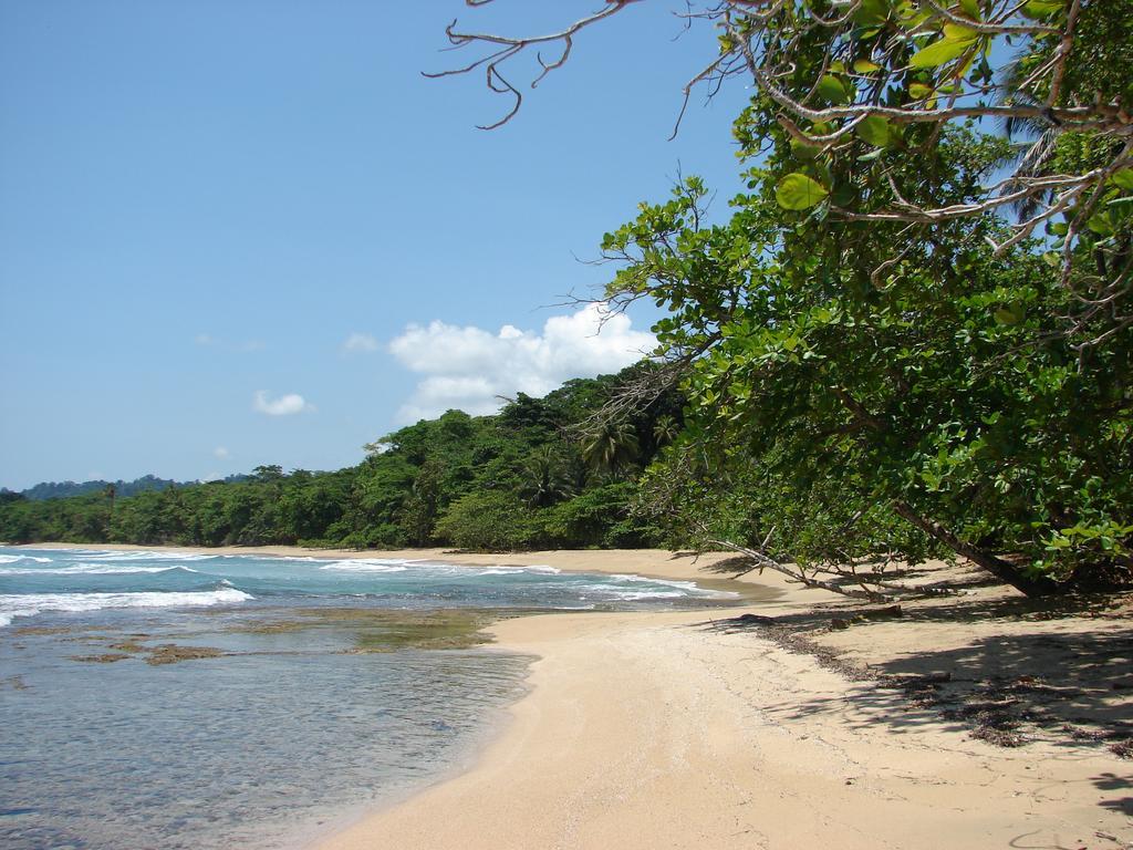 Babilonia Aparthotel Cahuita Ngoại thất bức ảnh