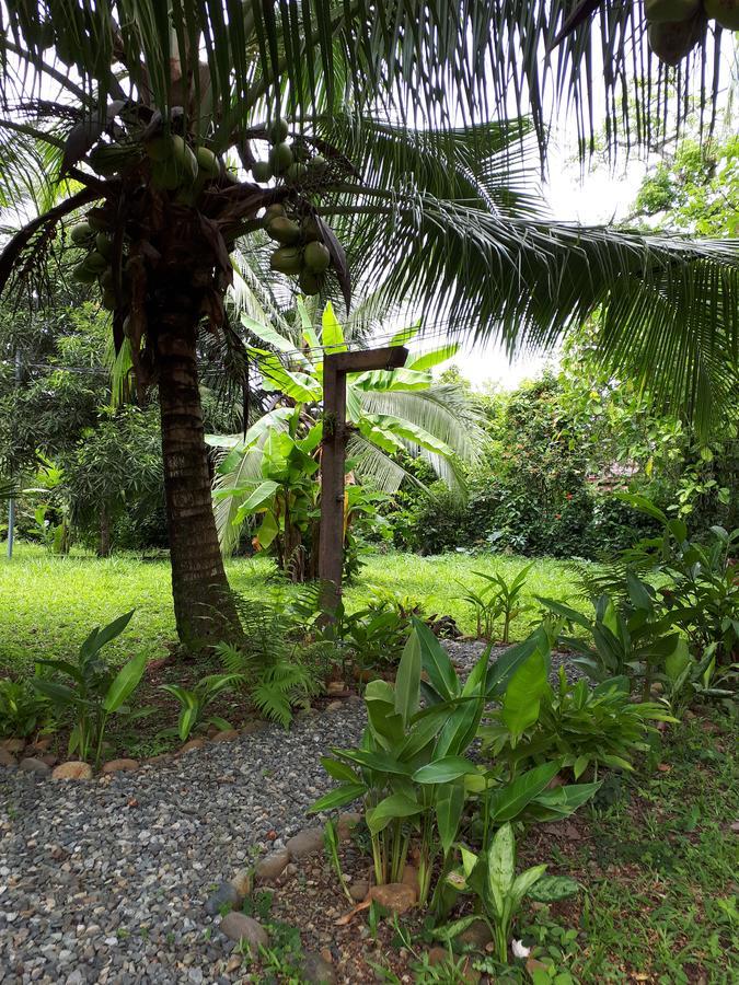Babilonia Aparthotel Cahuita Ngoại thất bức ảnh